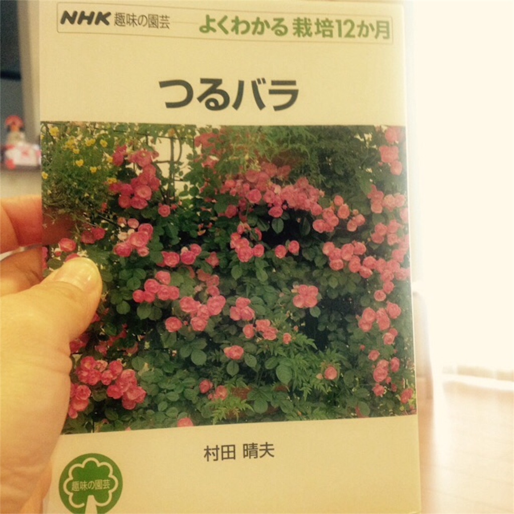 心にある風景 日々綴る 庭ブログ