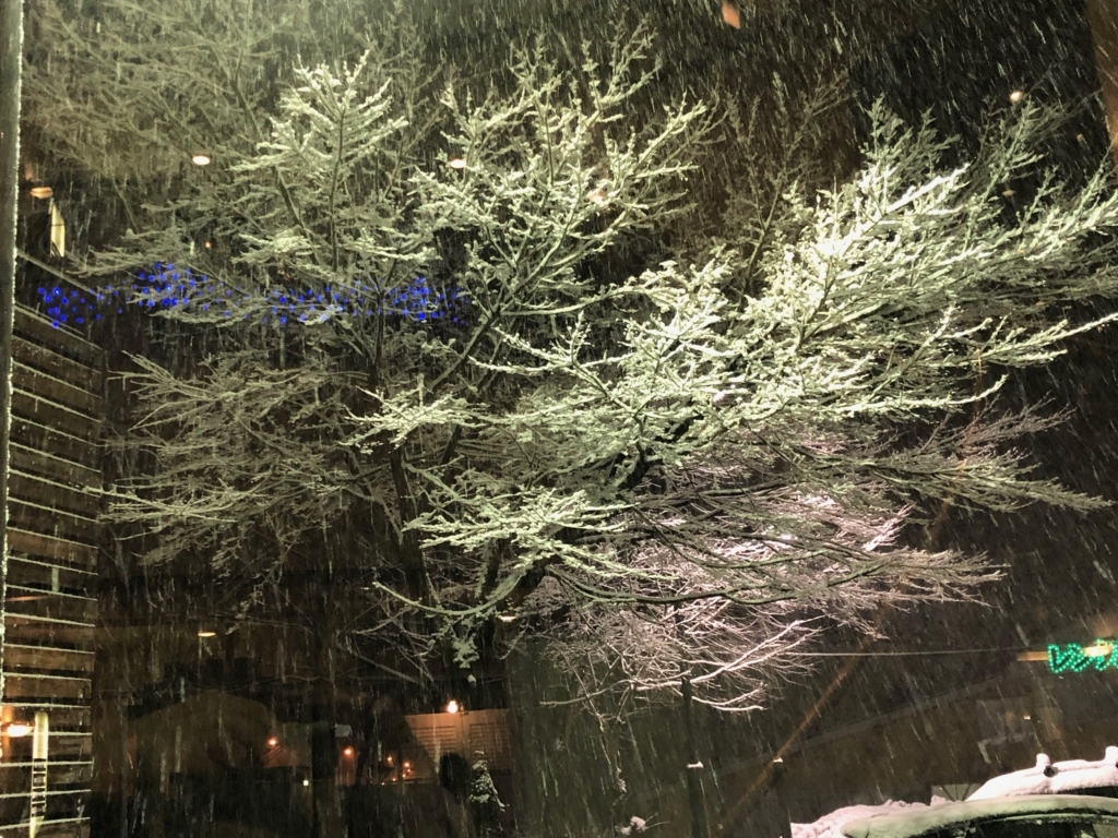 f:id:m-golxy:20180310134607j:plain f:id:m-golxy:20180310134607j:plain