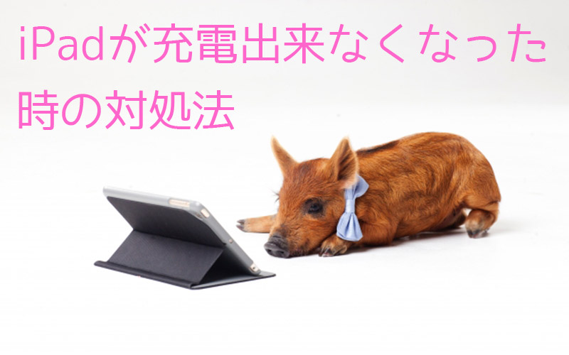 買って1年も経ってないのにipadの充電が出来なくなって焦ったけど無事直りました てふてふさんぽ