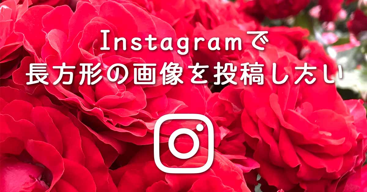 Instagram インスタグラム で長方形の画像を投稿したい M S Graffiti ミミの楽描き帖