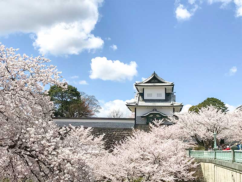 兼六園にお花見に行ってきました 金沢の一大観光地でもある兼六園はなんと桜の見頃に合わせて無料開放されるんだよ てふてふさんぽ