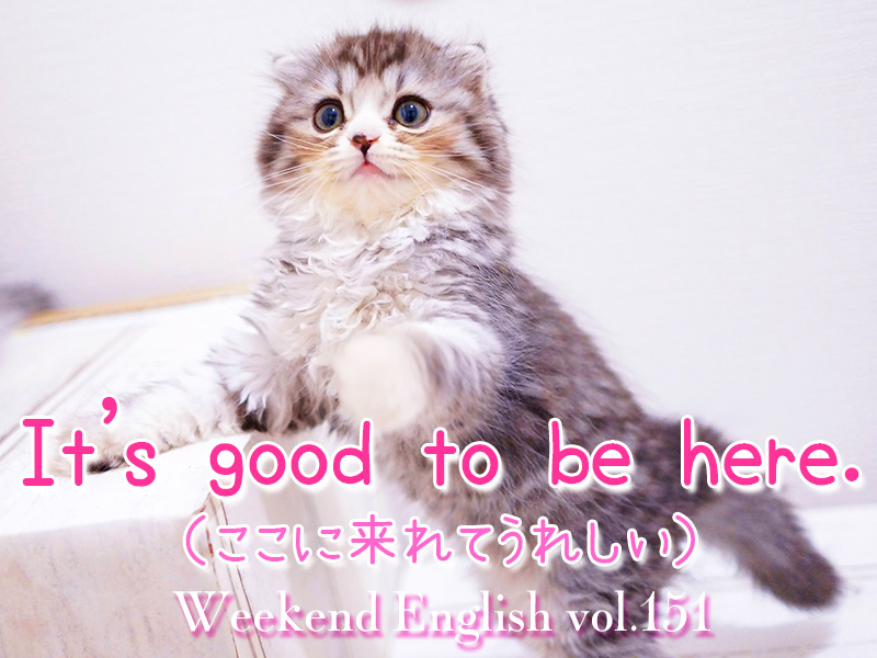 週末英語 151 挨拶で使える定番フレーズ It S Nice Good To Be Here てふてふさんぽ