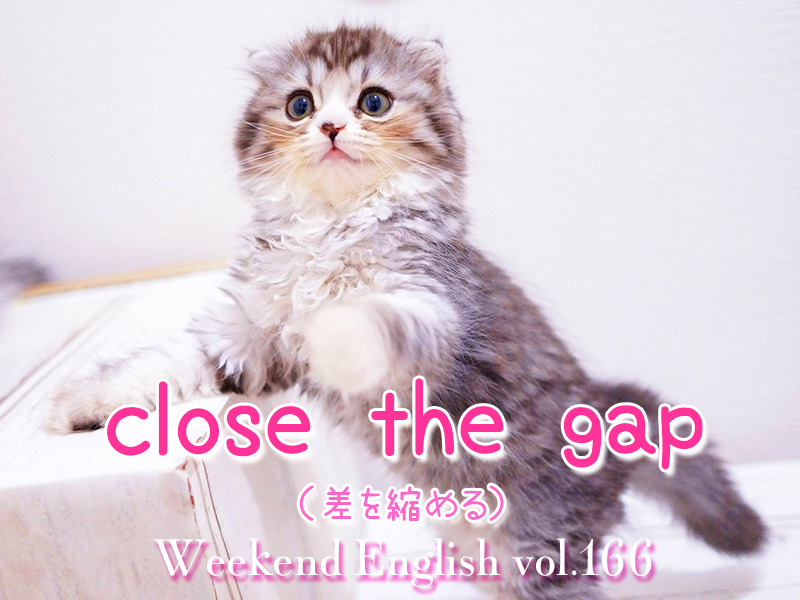 週末英語 166 英語で 差を縮める は Close The Gap てふてふさんぽ