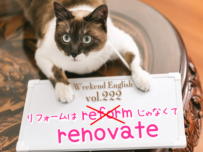 週末英語 222 英語で家のリフォームは Reform じゃなくて Renovate てふてふさんぽ 週末英語 222 英語で家のリフォームは Reform じゃなくて Renovate てふてふさんぽ