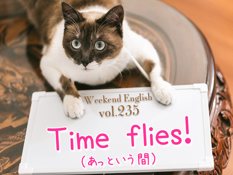 週末英語 235 英語で あっという間 は Time Flies 他にもいろんな言い方があるよ てふてふさんぽ