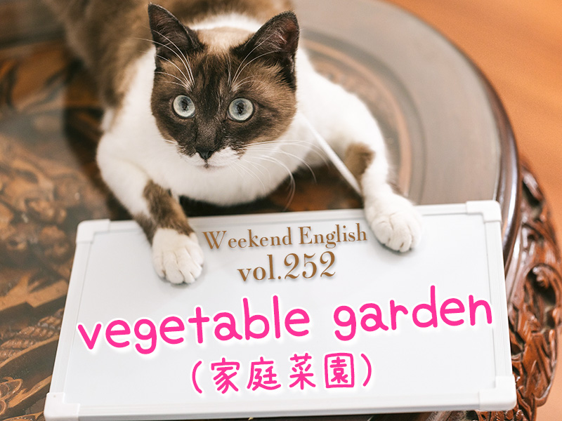 週末英語 252 畑は英語で Field だけど 家庭菜園は Vegetable Garden と言うよ てふてふさんぽ