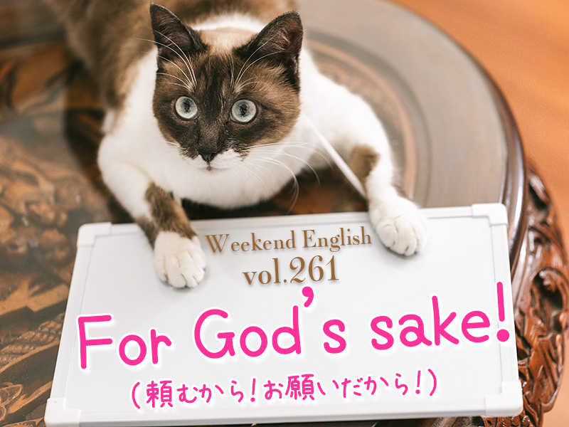 週末英語 261 映画や海外ドラマでよく聞くフレーズ For God S Sake は 後生だから 頼むから といった意味 てふてふさんぽ