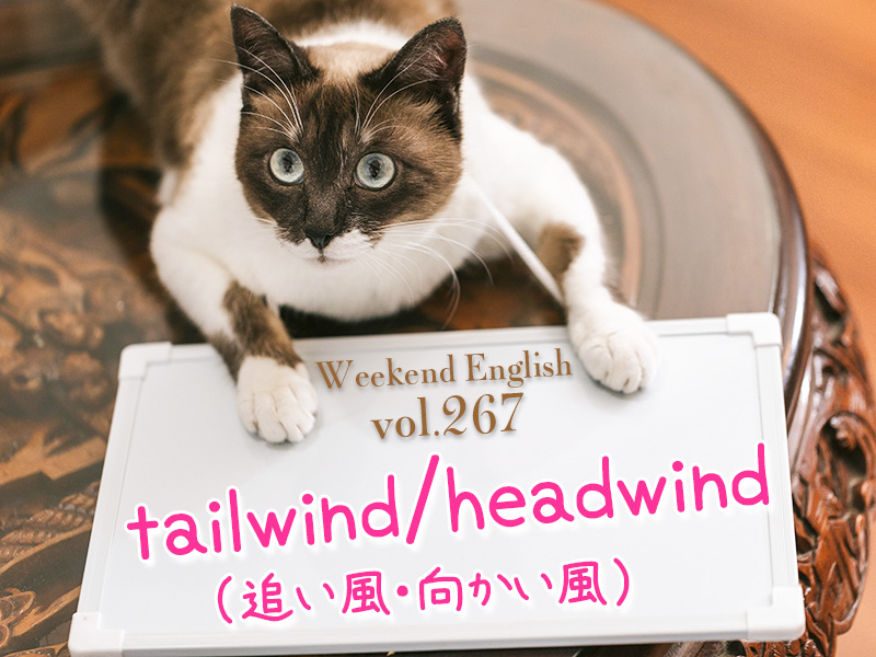 週末英語 267 英語で 追い風 は Tailwind 向かい風 は Headwind てふてふさんぽ 週末英語 267 英語で 追い風 は Tailwind 向かい風 は Headwind てふてふさんぽ
