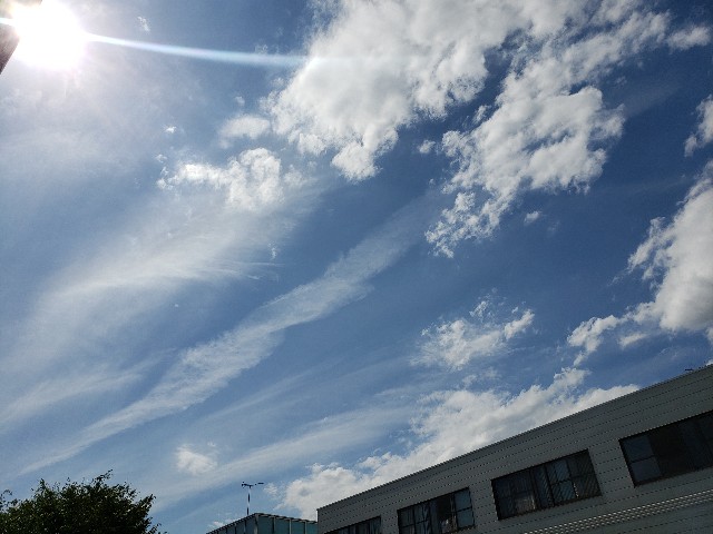 f:id:m-harvest:20190618001639j:image