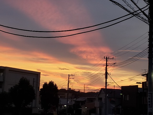 f:id:m-harvest:20190807215305j:image