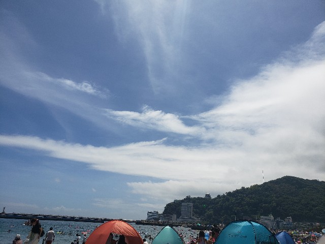 f:id:m-harvest:20190817125540j:image f:id:m-harvest:20190817125540j:image