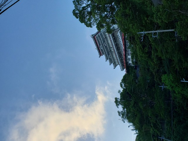 f:id:m-harvest:20190817131346j:image f:id:m-harvest:20190817131346j:image