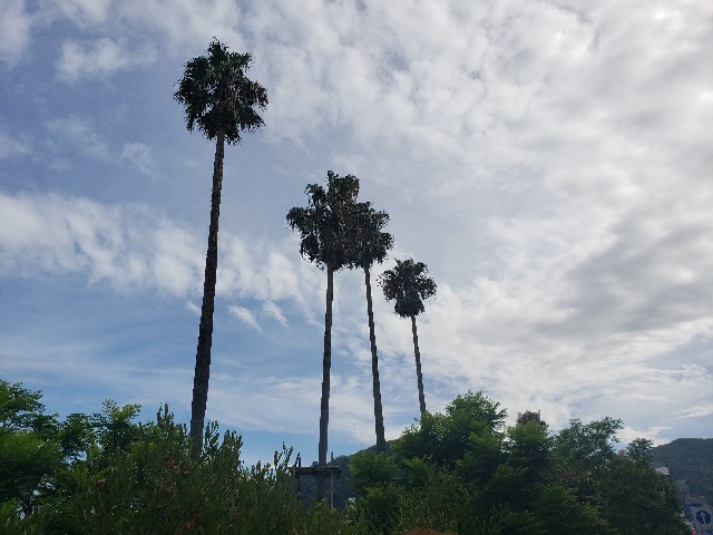 f:id:m-harvest:20190817134559j:image f:id:m-harvest:20190817134559j:image