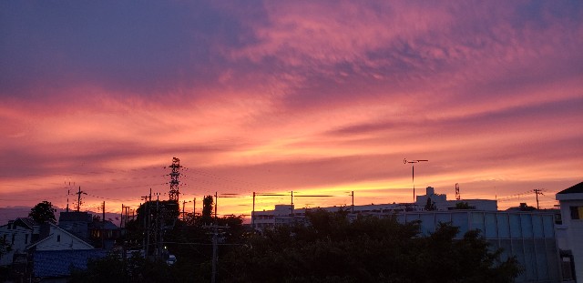 f:id:m-harvest:20211009205750j:image