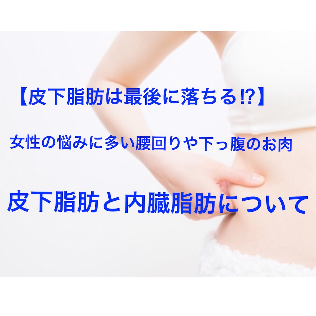 皮下脂肪は最後に落ちる 女性の悩みに多い腰周りや下っ腹お肉 皮下脂肪と内臓脂肪について 主婦m Hiroの見聞録ぶろぐ 皮下脂肪は最後に落ちる 女性の悩みに多い腰周りや下っ腹お肉 皮下脂肪と内臓脂肪について 主婦m Hiroの見聞録ぶろぐ