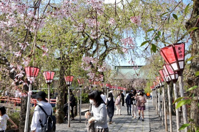 f:id:m-himemiko-rainbowmaterial9999:20210805124340j:image