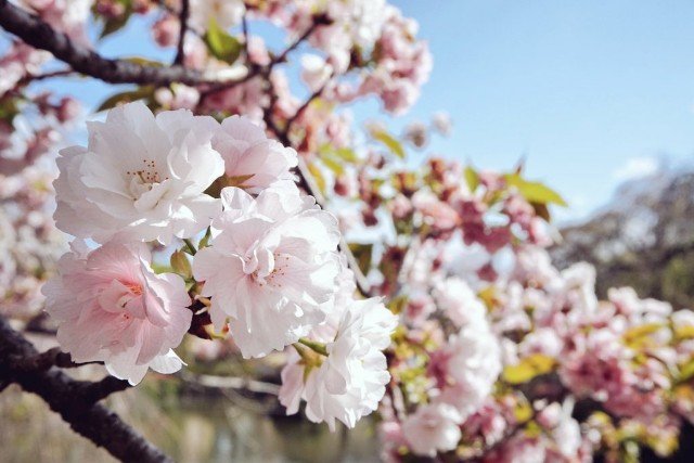 f:id:m-himemiko-rainbowmaterial9999:20210805124441j:image