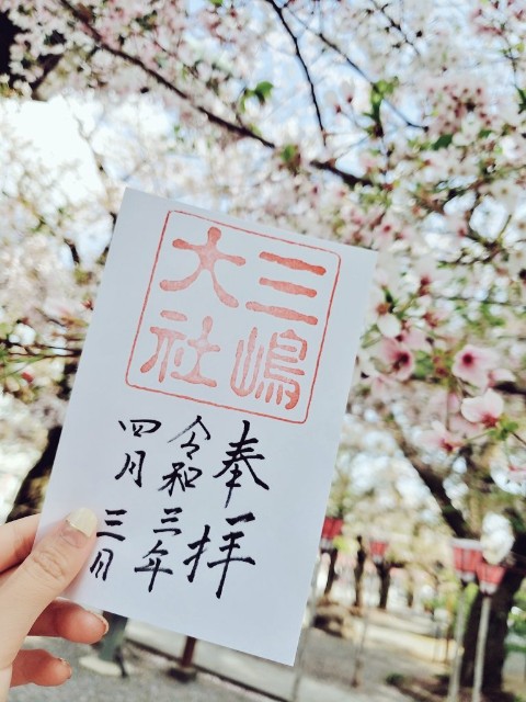 f:id:m-himemiko-rainbowmaterial9999:20210805124944j:image