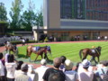 新潟競馬②