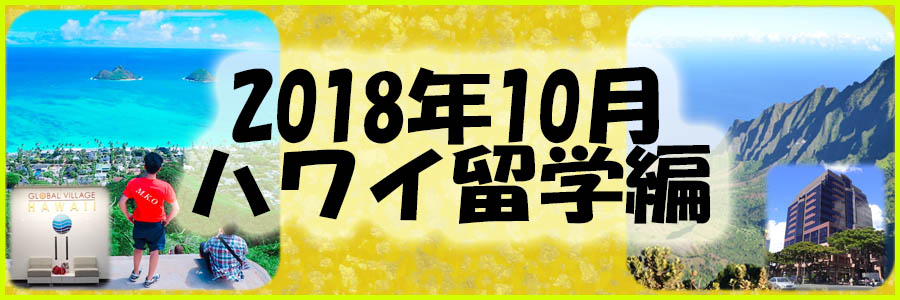 f:id:m-k-o:20190202002018j:plain f:id:m-k-o:20190202002018j:plain