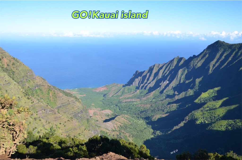 f:id:m-k-o:20190221002322j:image f:id:m-k-o:20190221002322j:image