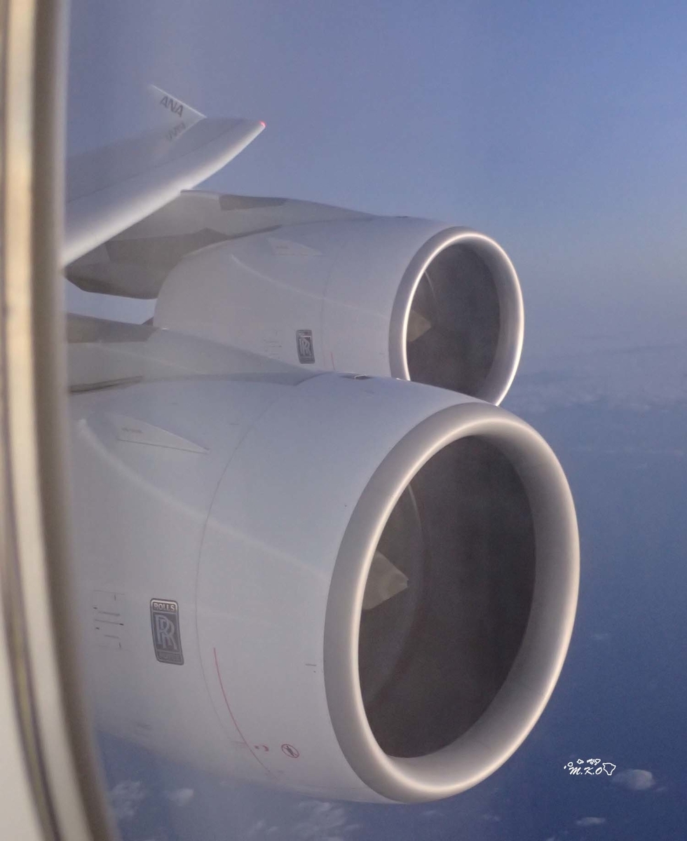 ANA A380 フライングホヌ 後ろに思いっきり倒せるエコノミー 2020年2月