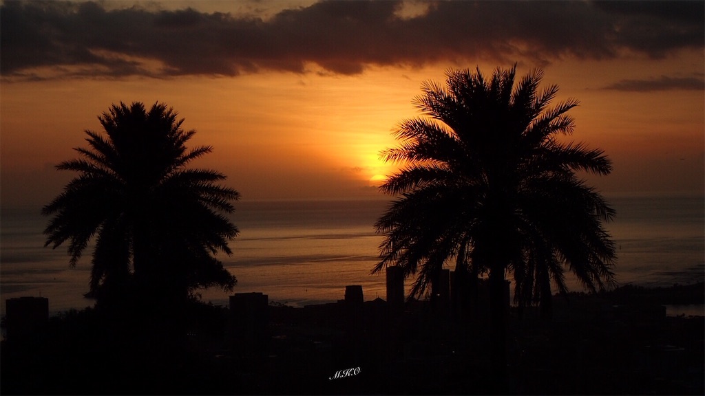 f:id:m-k-o:20220427165213j:image