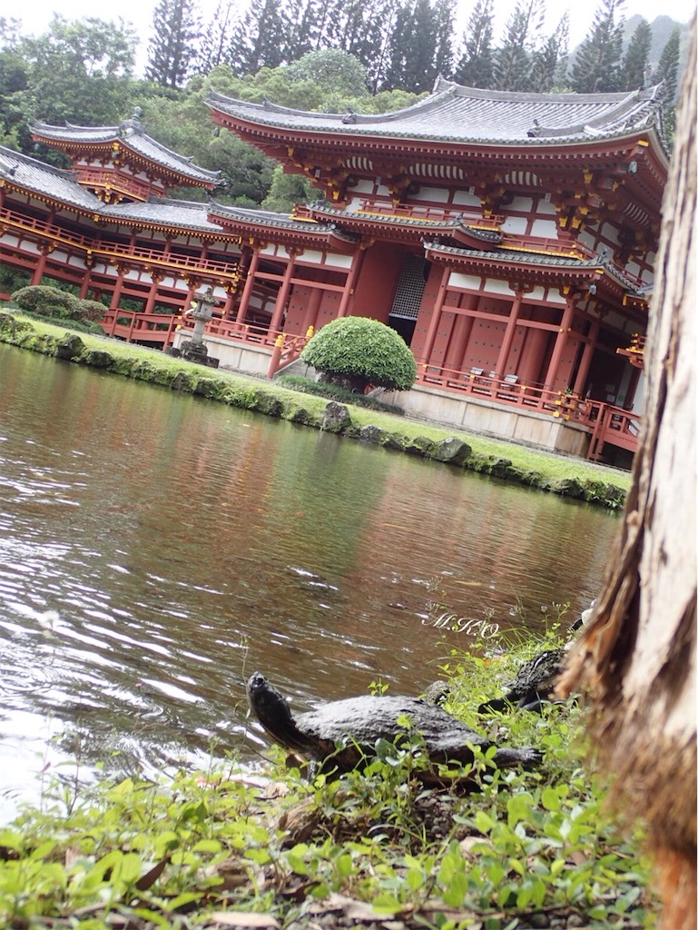 f:id:m-k-o:20220428142142j:image