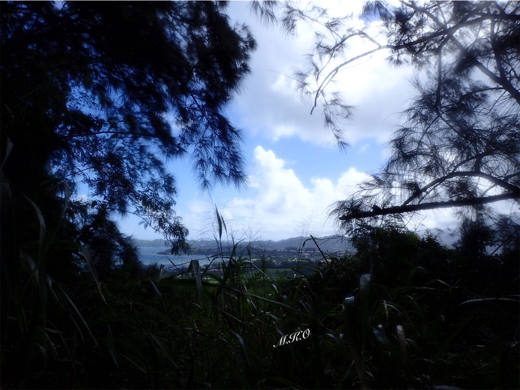 f:id:m-k-o:20220429085046j:image