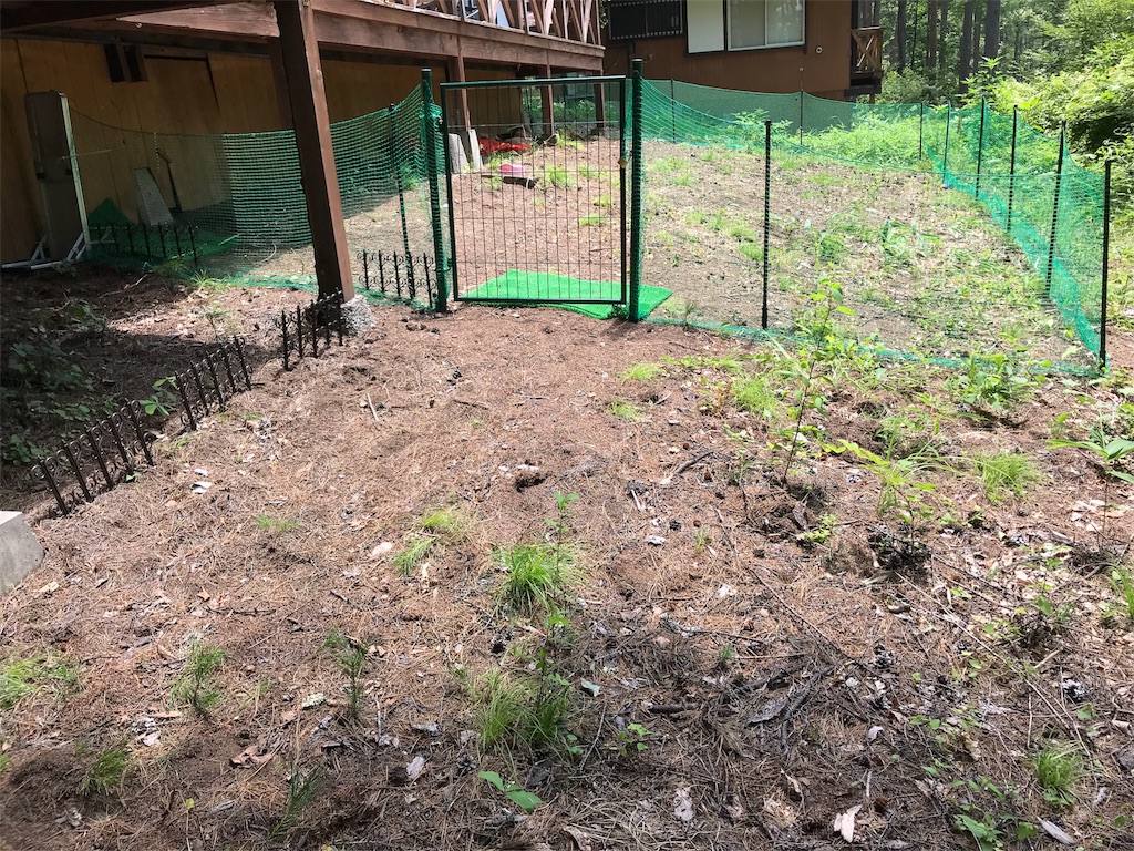 f:id:m-k9-campus:20180720111649j:image f:id:m-k9-campus:20180720111649j:image