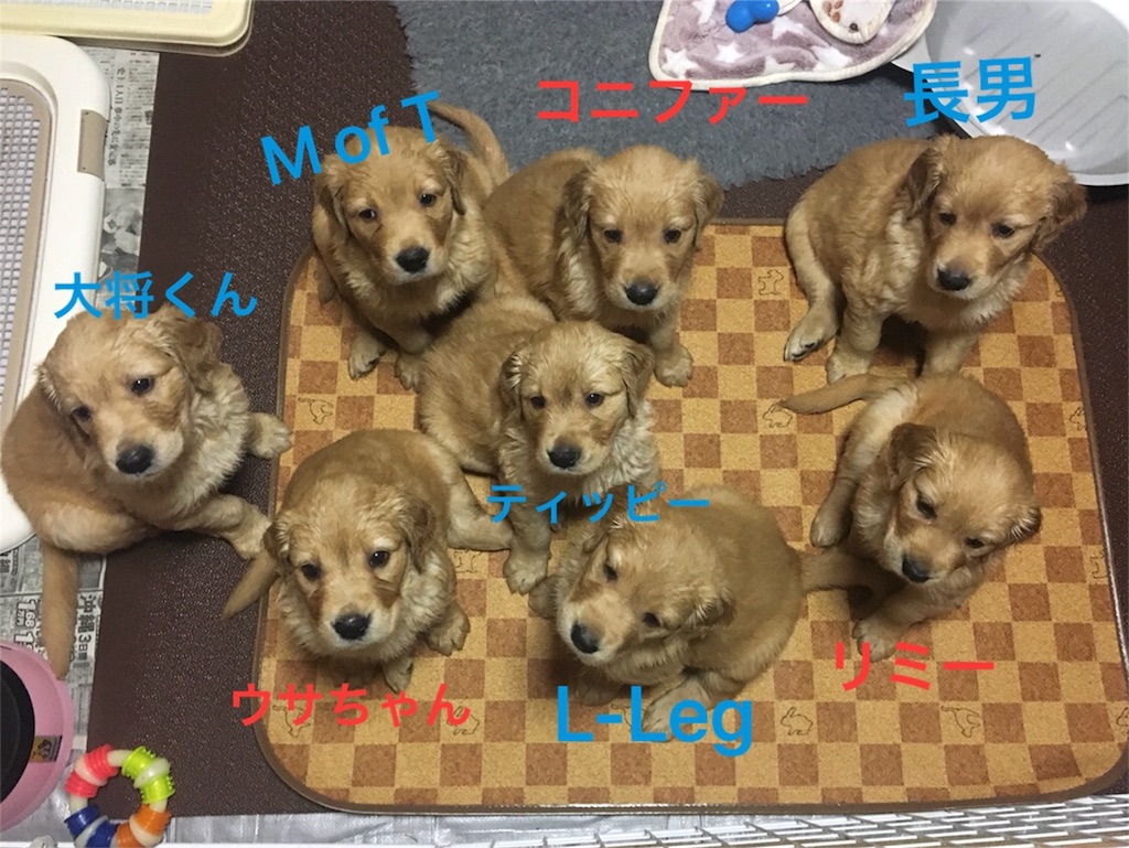 f:id:m-k9-campus:20180811081341j:image f:id:m-k9-campus:20180811081341j:image