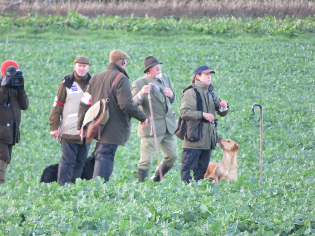 f:id:m-k9-campus:20181217111730j:image f:id:m-k9-campus:20181217111730j:image