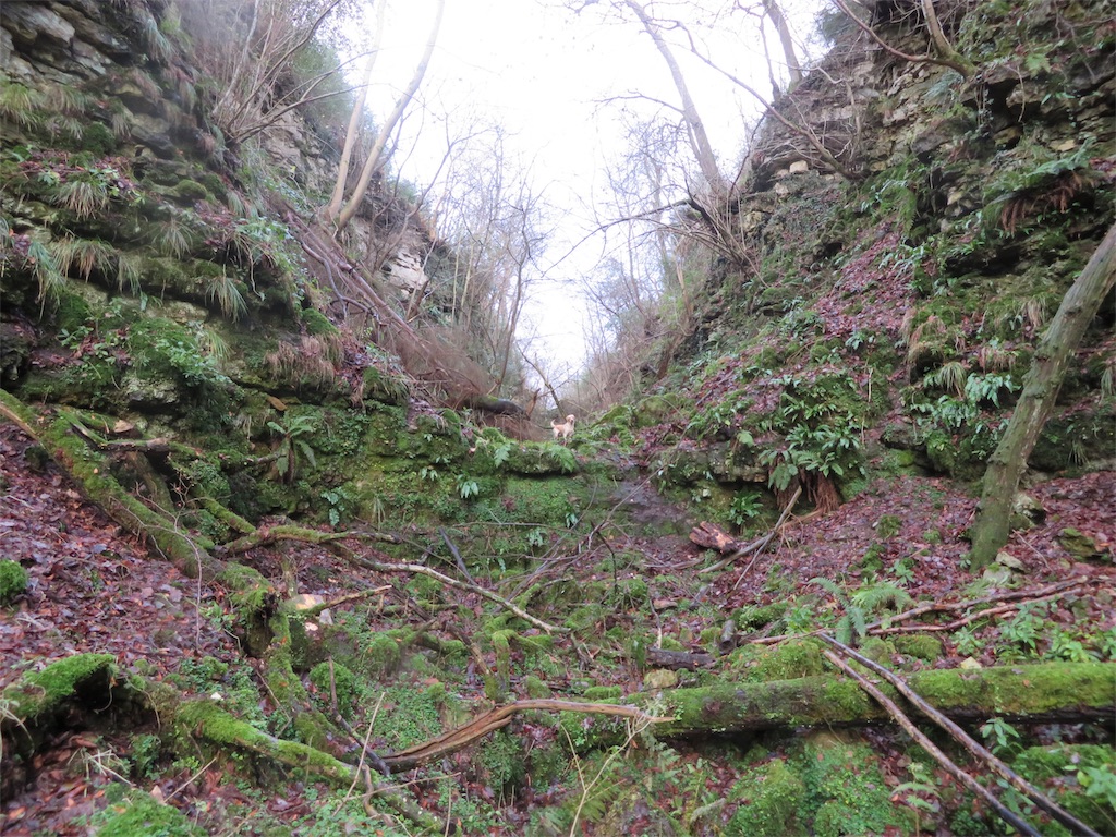 f:id:m-k9-campus:20181217111956j:image f:id:m-k9-campus:20181217111956j:image