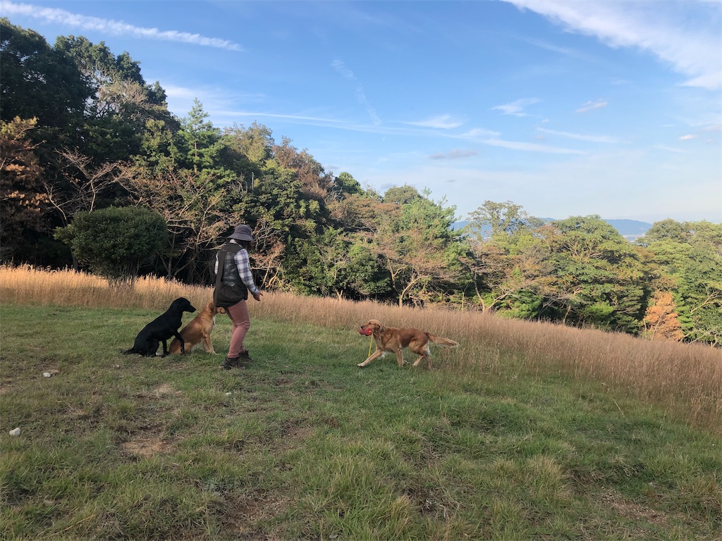 f:id:m-k9-campus:20191101215615j:image f:id:m-k9-campus:20191101215615j:image