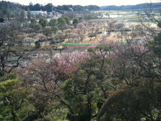 f:id:m-kikuchi:20100322144620j:image