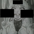 20110418211225