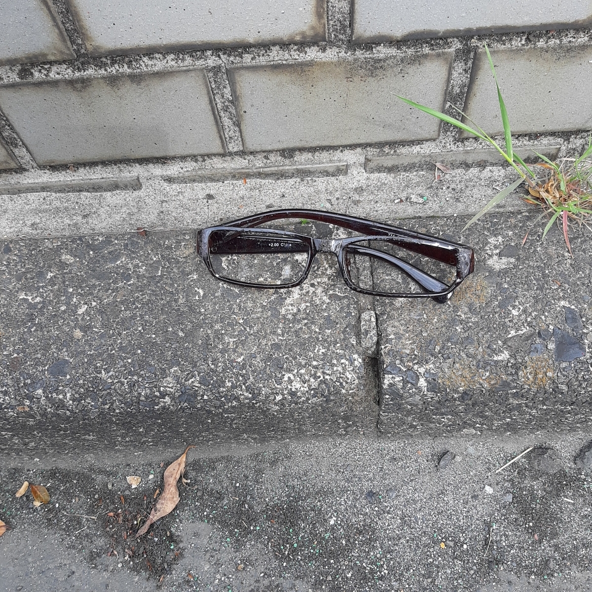f:id:m-kite:20210330143025j:plain