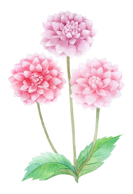 f:id:m-m-abc-0714:20230922154249j:image