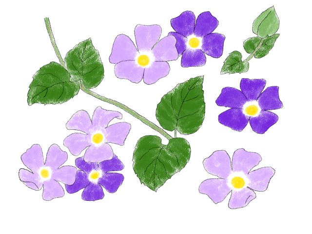 f:id:m-m-abc-0714:20230928153252j:image