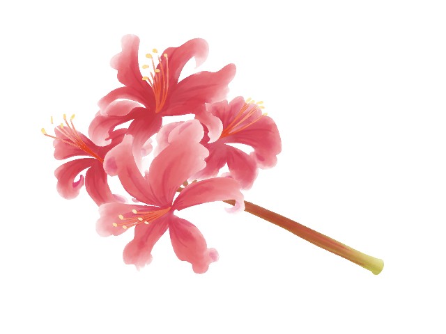 f:id:m-m-abc-0714:20231012145918j:image