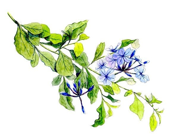 f:id:m-m-abc-0714:20231022141136j:image