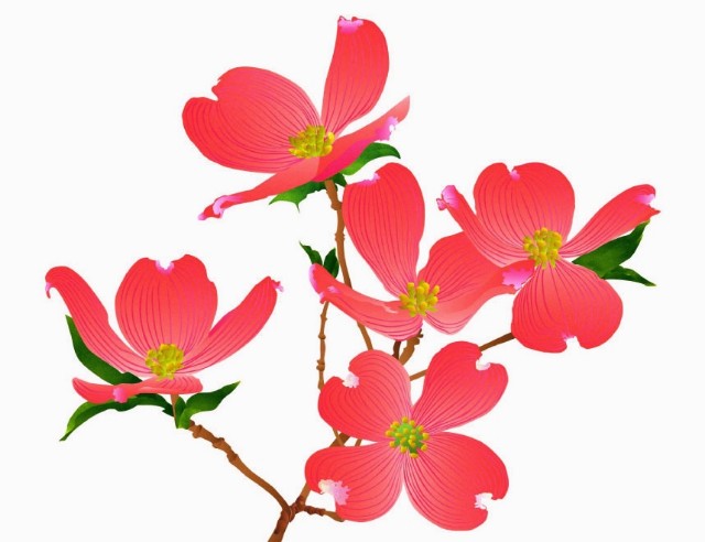 f:id:m-m-abc-0714:20240828181325j:image