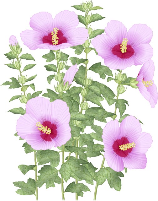 f:id:m-m-abc-0714:20240830111533j:image