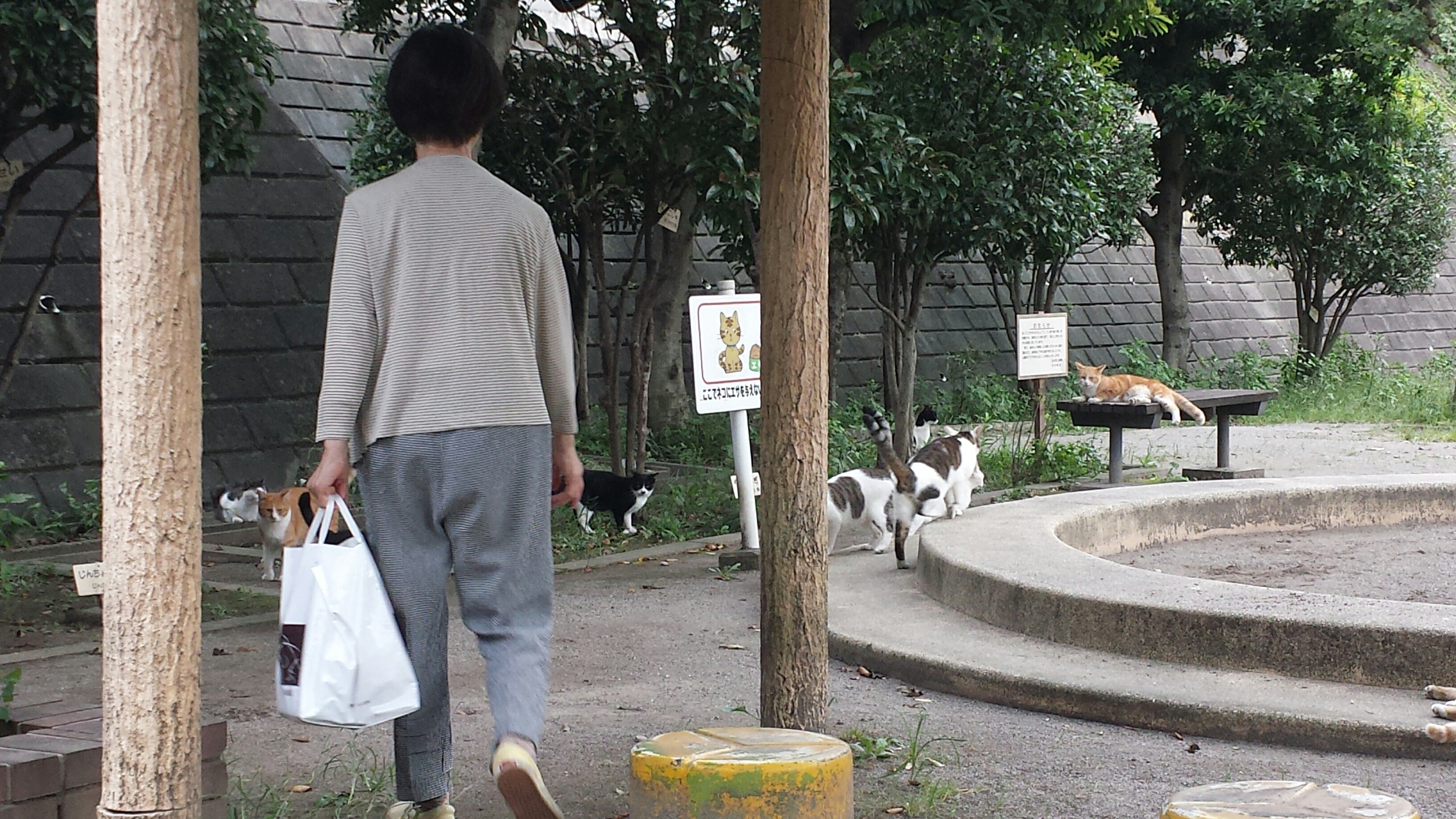 f:id:m-mocchan0629:20151203165525j:image f:id:m-mocchan0629:20151203165525j:image