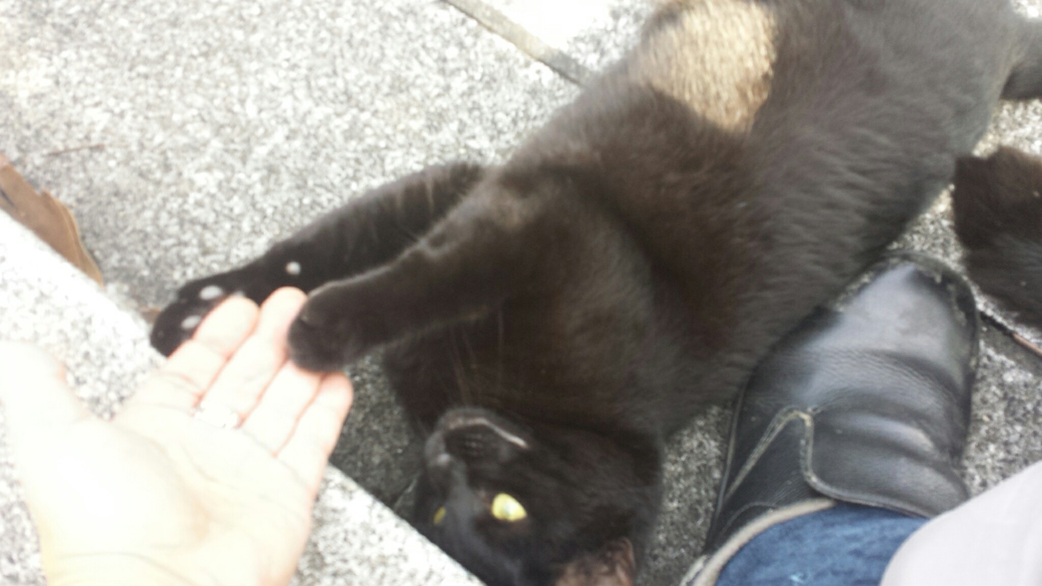 f:id:m-mocchan0629:20161004153035j:image