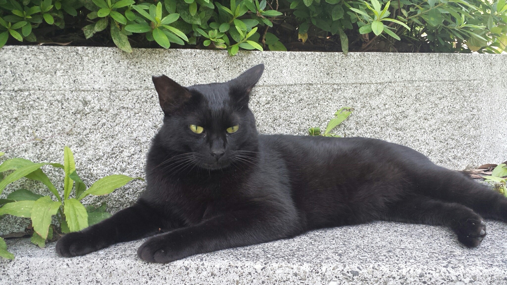 f:id:m-mocchan0629:20161004233030j:image