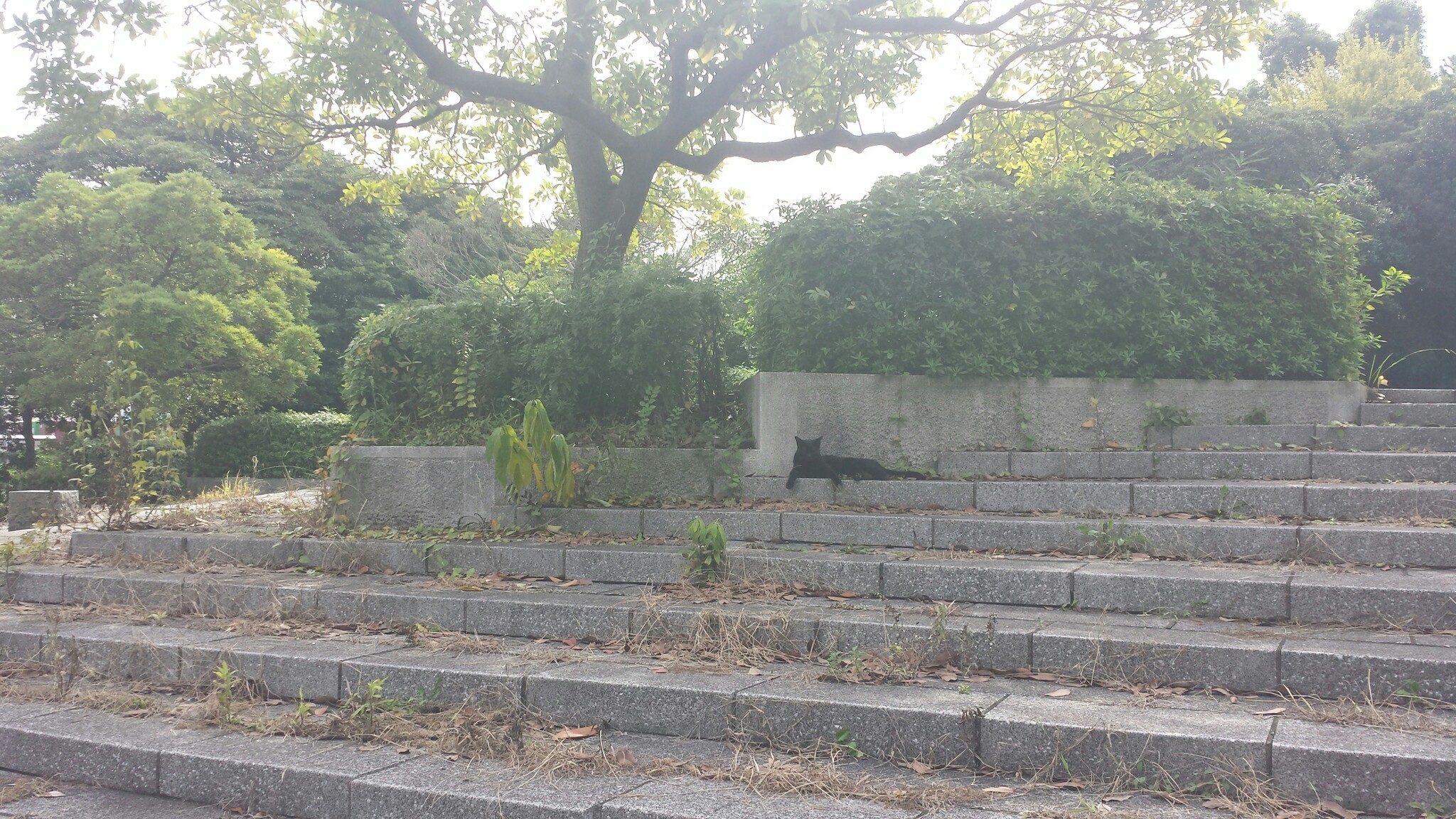 f:id:m-mocchan0629:20161004233749j:image