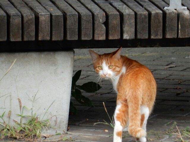 f:id:m-mocchan0629:20161012123655j:image f:id:m-mocchan0629:20161012123655j:image