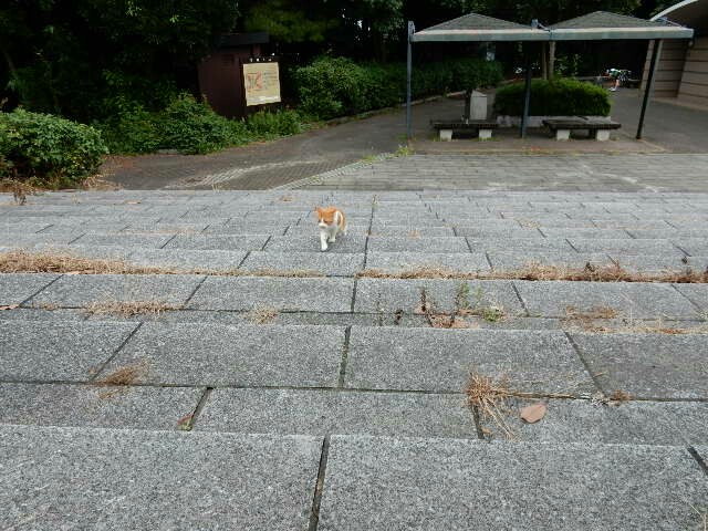 f:id:m-mocchan0629:20161012132148j:image f:id:m-mocchan0629:20161012132148j:image