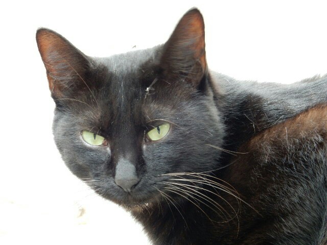 f:id:m-mocchan0629:20161013105948j:image f:id:m-mocchan0629:20161013105948j:image